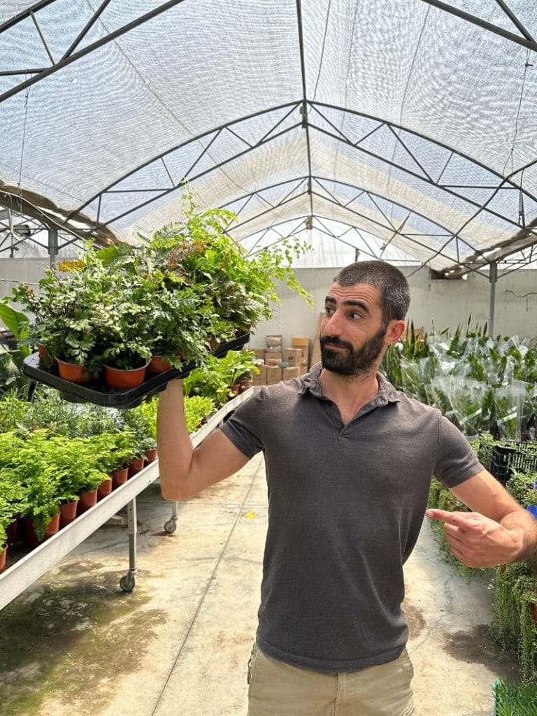 גבר במשתלה מחזיק מגש עם צמחים ירוקים ומצביע עליהם. צמחי נוי לבית ולגינה.