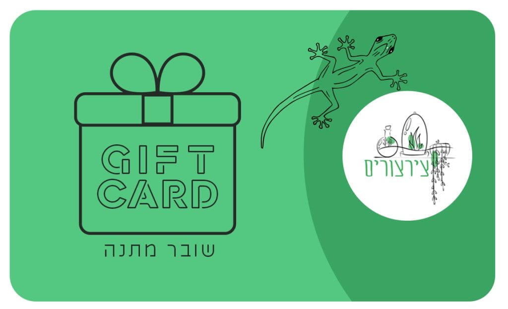 כרטיס מתנה ירוק עם קופסת מתנה, הכיתוב "GIFT CARD" ו"שובר מתנה", לוגו ציצרורים ולטאה בקווי מתאר.