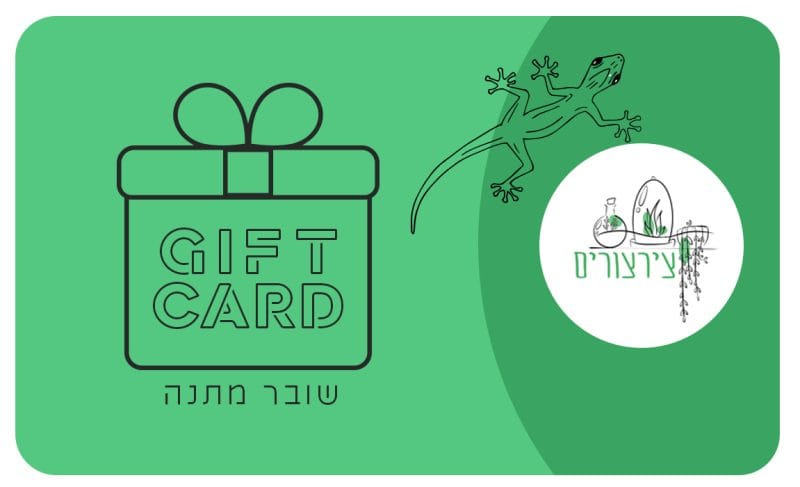 כרטיס מתנה ירוק עם קופסת מתנה, הכיתוב "GIFT CARD" ו"שובר מתנה", לוגו ציצרורים ולטאה בקווי מתאר.