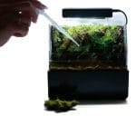 ננו פלדריום