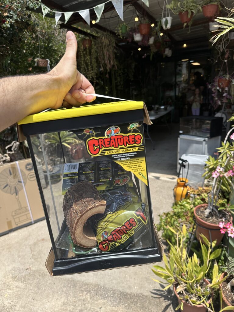 יד מחזיקה ערכת מחיה לחרקים "Creatures" עם מצע, מערה וצמח פלסטיק, בגינה בחוץ.