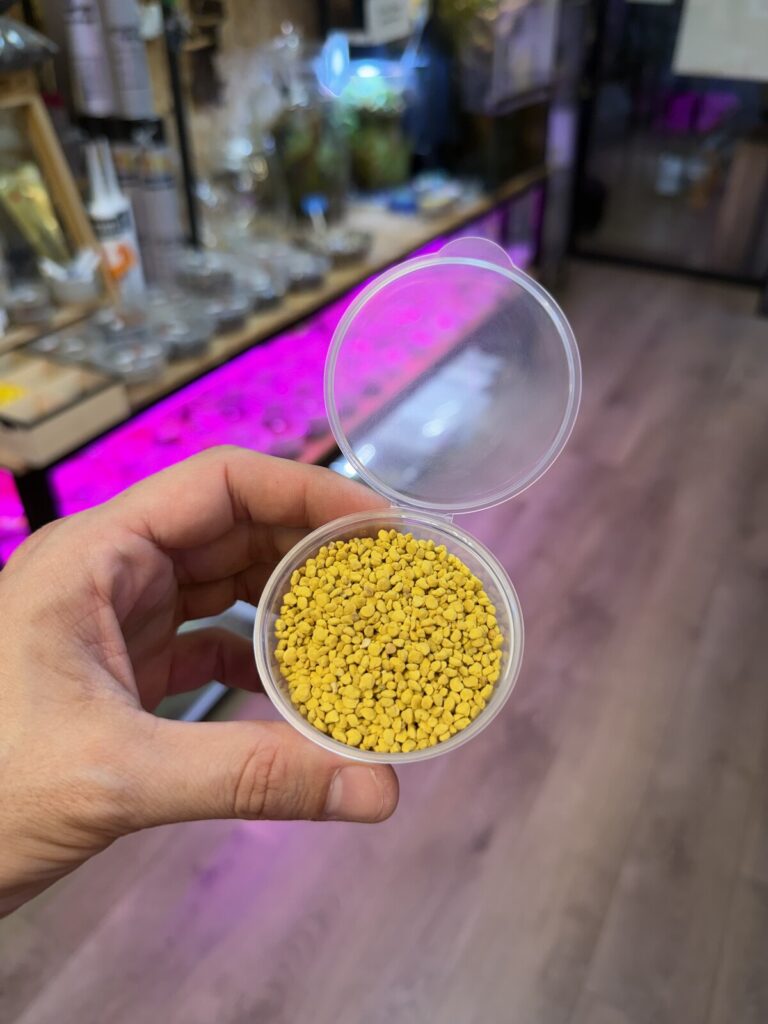 יד מחזיקה צנצנת פתוחה עם גרגירי אבקת פרחים צהובים.