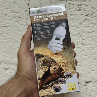יד יד מחזיקה קופסה של נורת UV פלואורסצנטית Repti-Zoo UVB 10.0 לוואט, עם צב במדבר ופרטים.