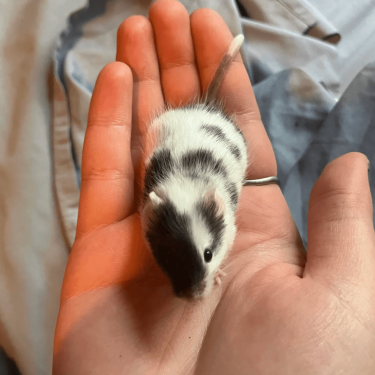 Screenshot 2026-02-24 at 23.17.19