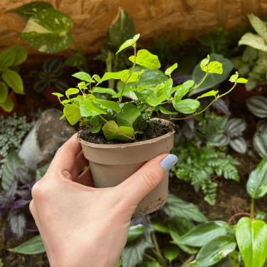 Screenshot 2026-02-25 at 22.10.38