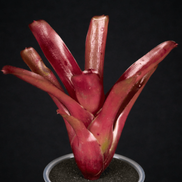 Screenshot 2026-02-25 at 22.49.59