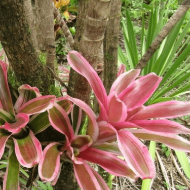 Screenshot 2026-02-25 at 22.58.46