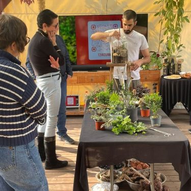 bioactive terrarium 1 (2)