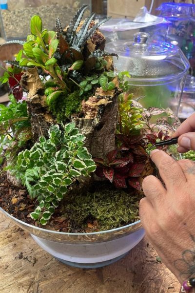 tiny-natural-architecture-design