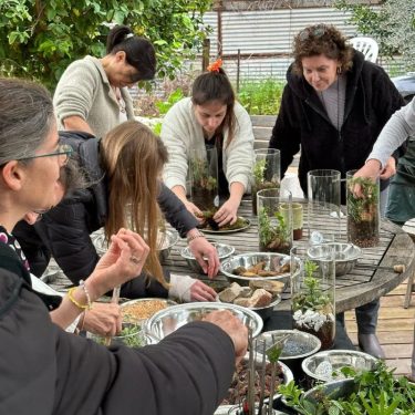 נשים בסדנא מכינות טרריום