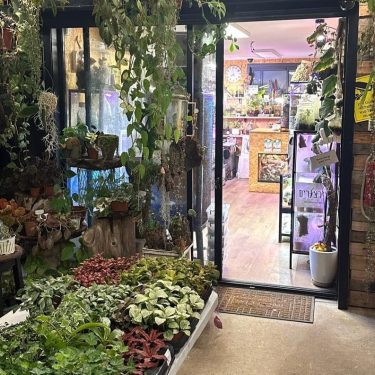 תמונה של WhatsApp‏ 2025-06-08 בשעה 12.02.57_13c3ee81